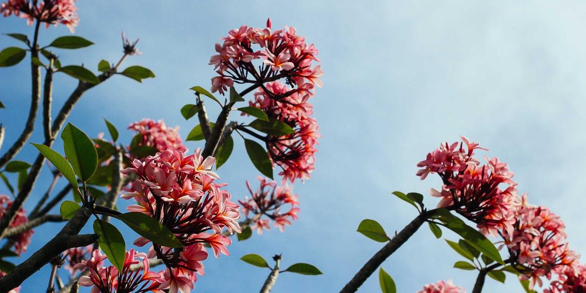 Bí Quyết Giữ Dáng Của Các Người Mẫu Việt – Không Phải Ai